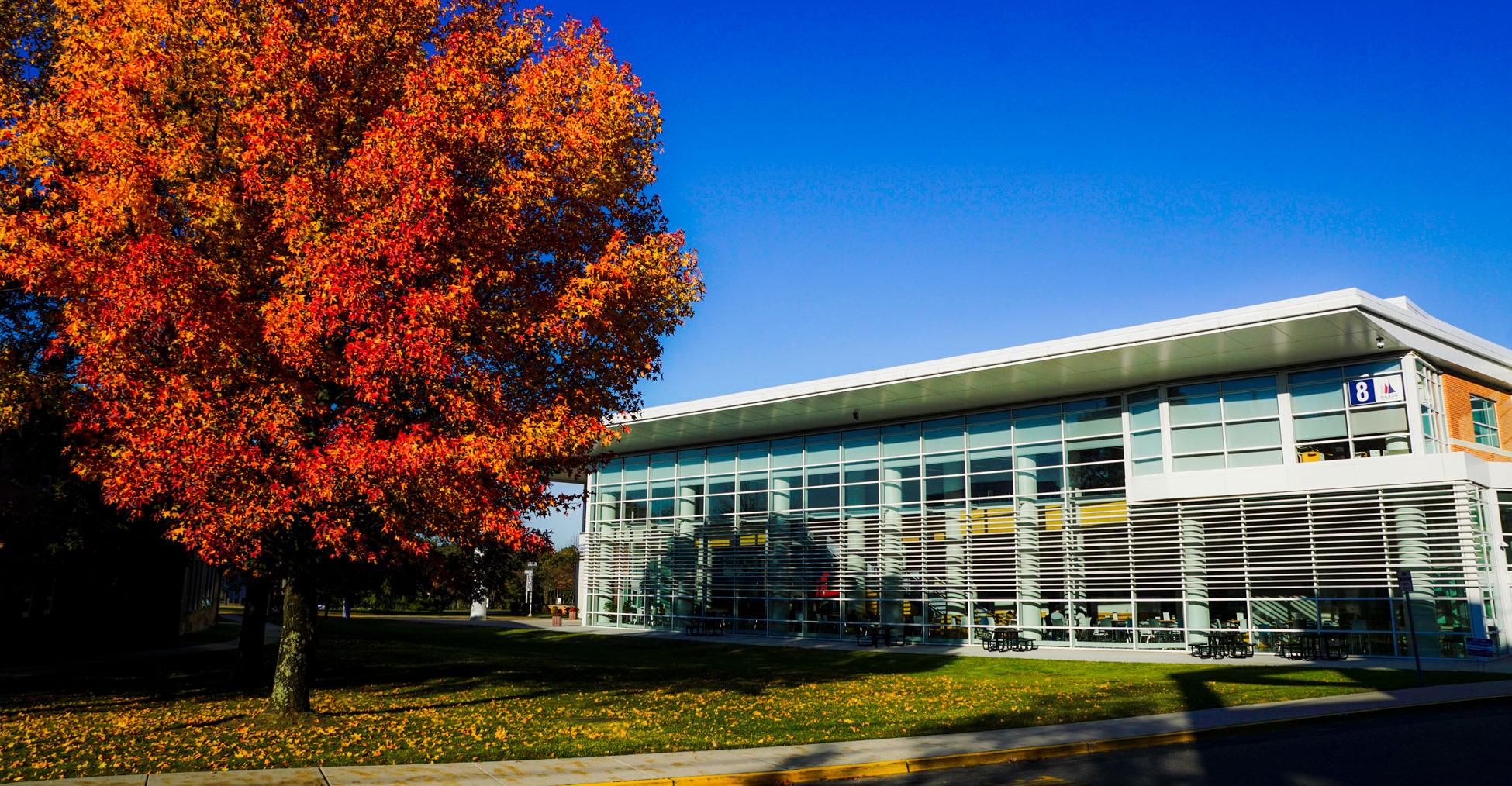 365球赛平台 Student center in the fall